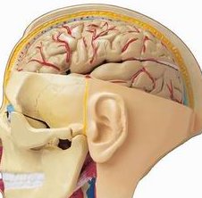 昆明试管婴儿哪个医院成功率最高？附昆明试管医院成功率