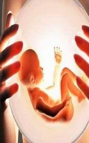 武汉三代试管助孕婴儿的费用介绍附湖北三代试管助孕医院排名