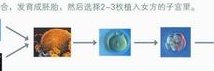 赤壁市不育不孕怎么办？赤壁市治疗不孕不育哪家医院好？
